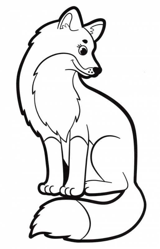 Раскраска леса