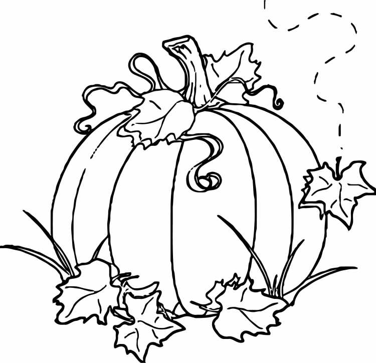 Тыква шаблон