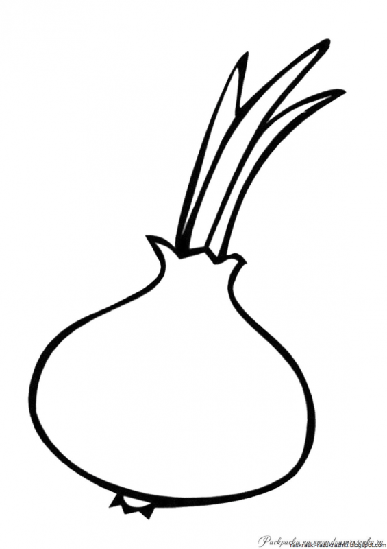 Картофель раскраска