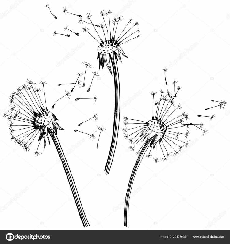 Одуванчик для детей