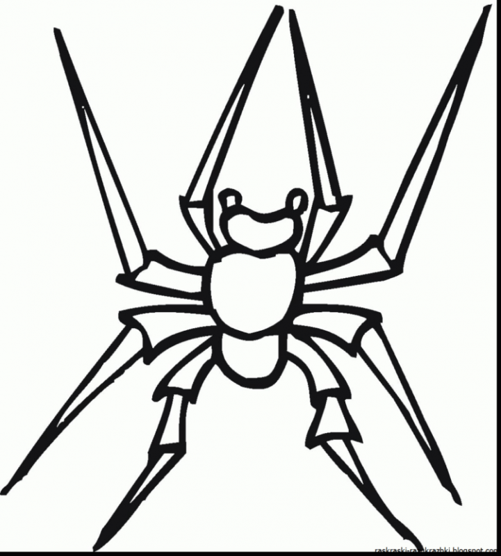 Паук крестовик раскраска