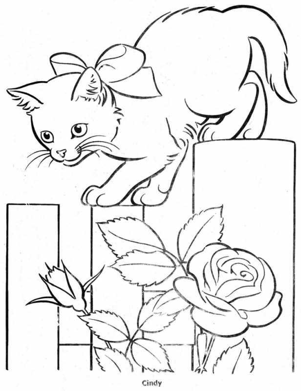 Котенок для раскрашивания детям