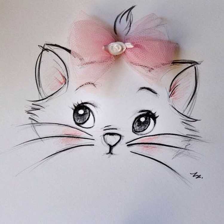 Мордочка кошечки