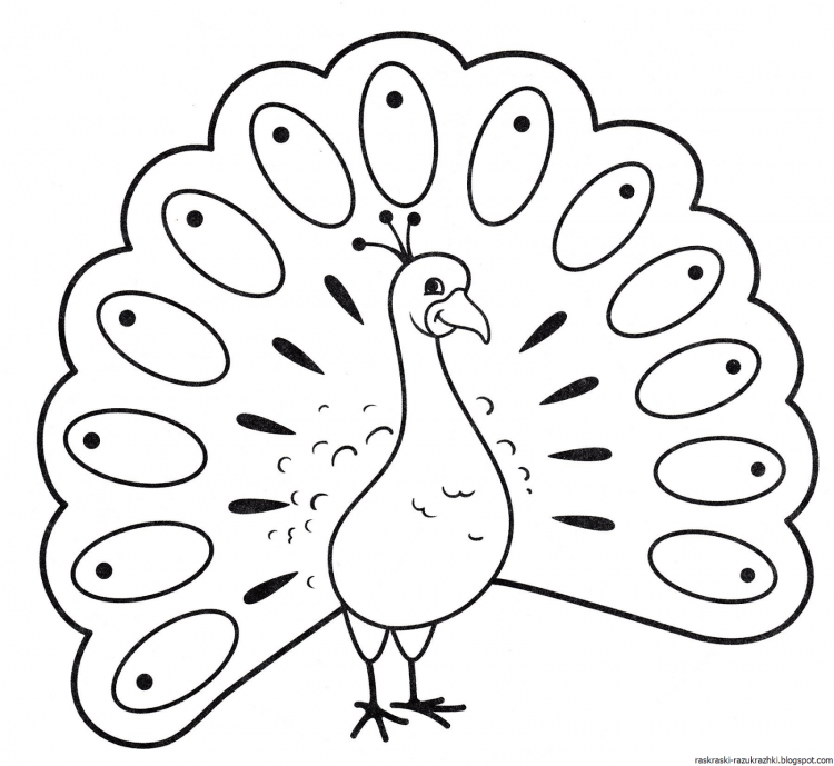 Раскраски очень сложные и красивые