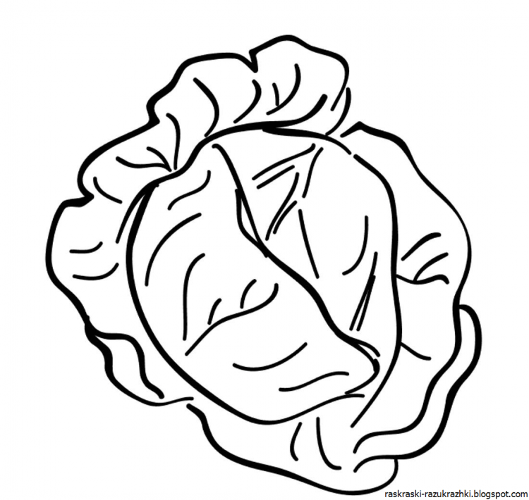 Раскраски овощи кабачок