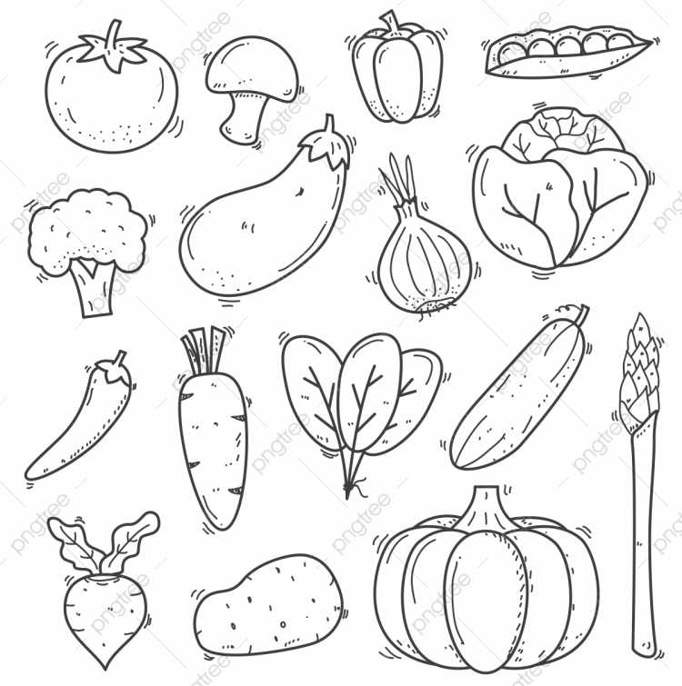 Раскраска овощей и фруктов для детей