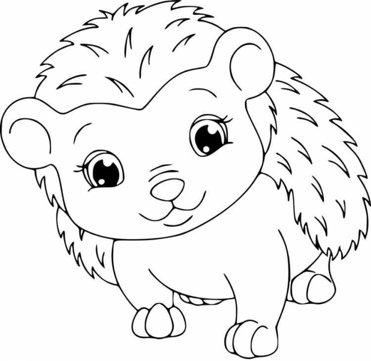 Ежик с грибами раскраска для детей