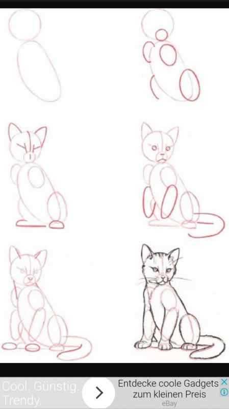 Кошки. Раскраска