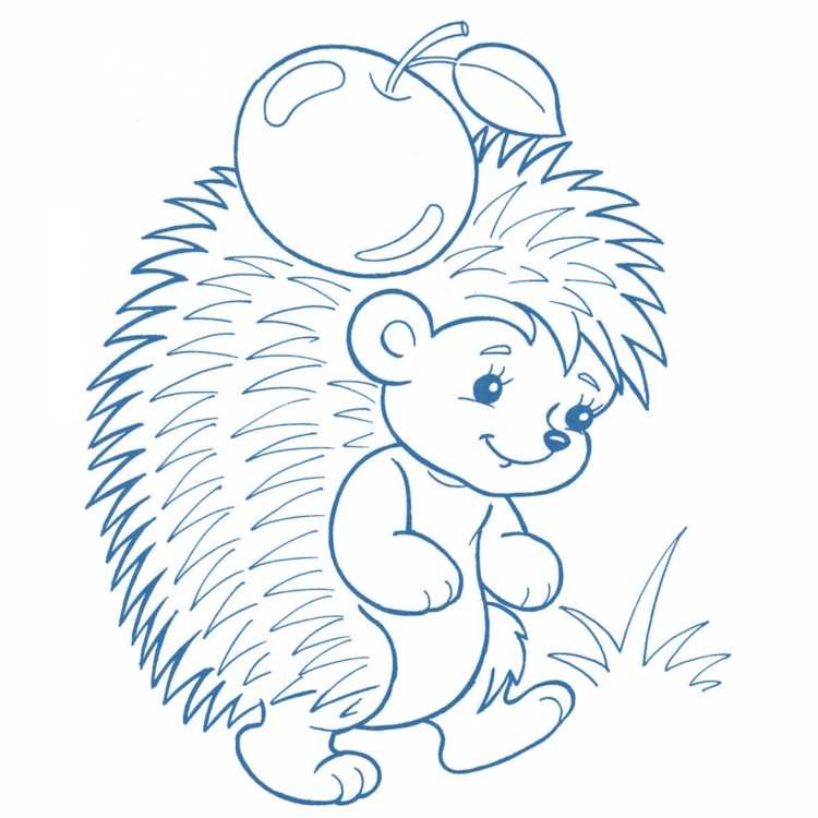 Ежик спереди рисунок