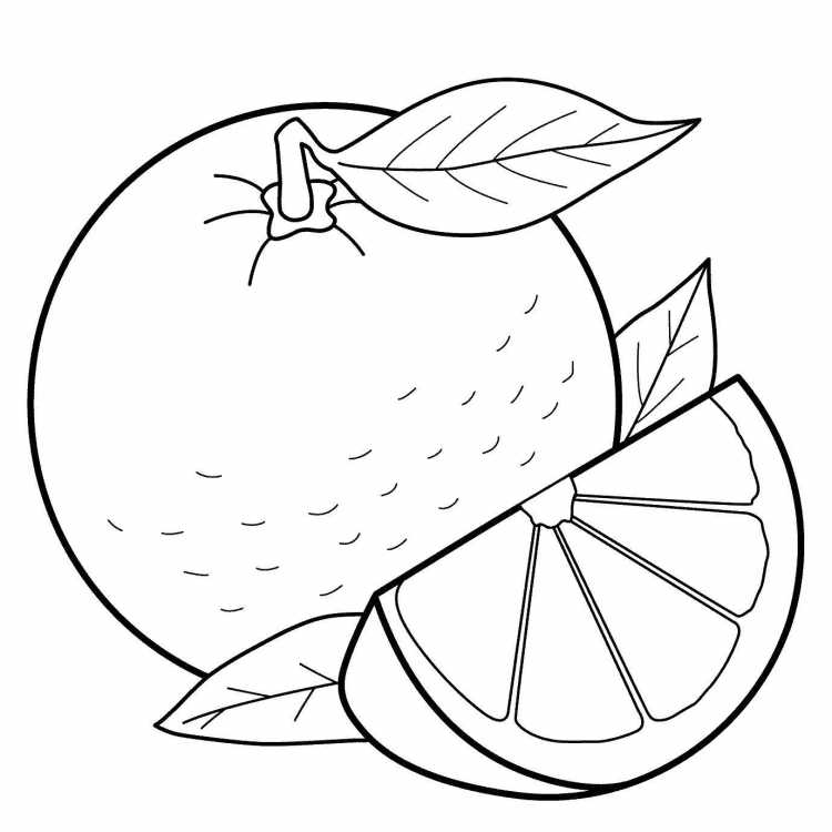 Контур фруктов