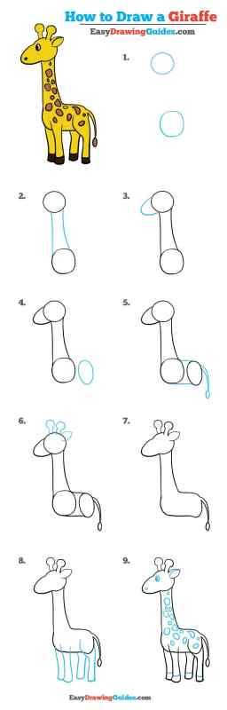 Раскраска Жирафик