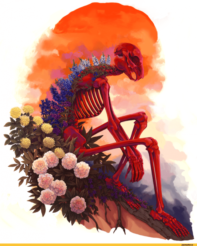 Сложенные Крылья