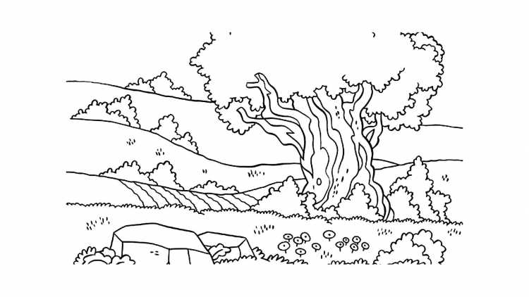 Птицы. Раскраска