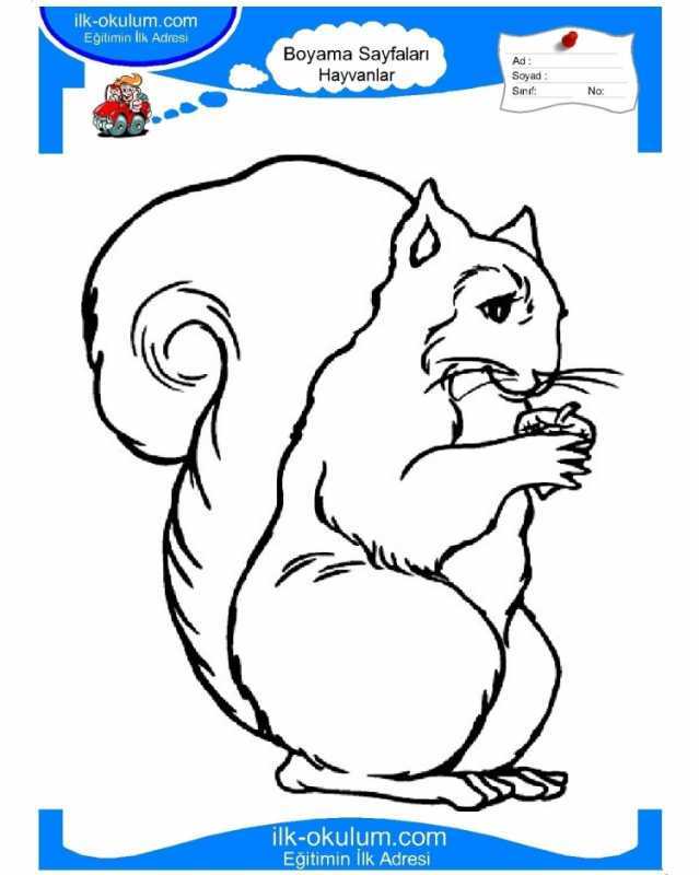 Белка трафарет для рисования