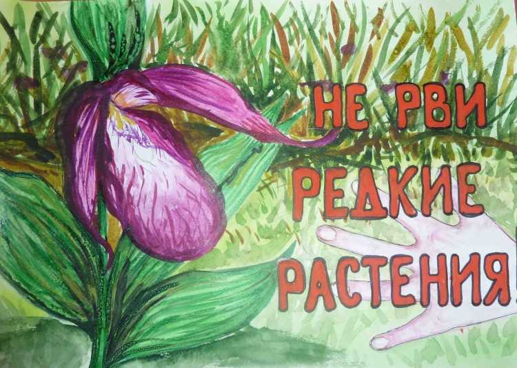 Плакат сохраним красоту природы