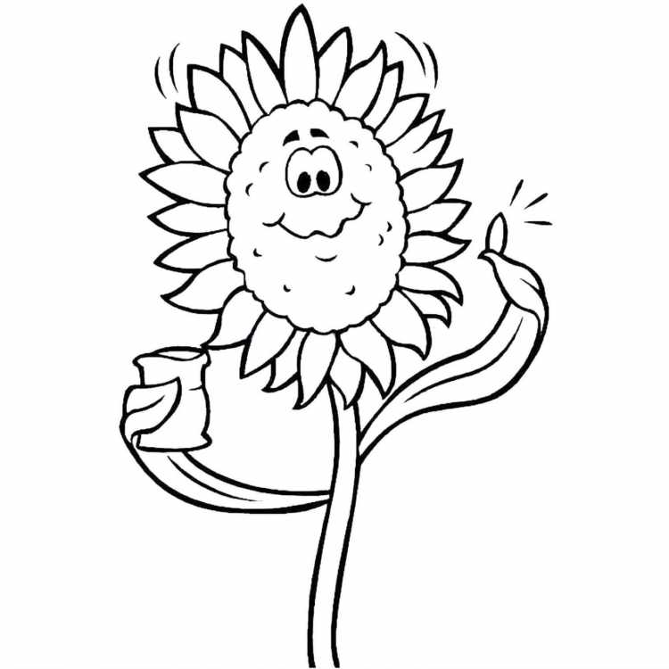 Раскраски для детей цветы ноготки