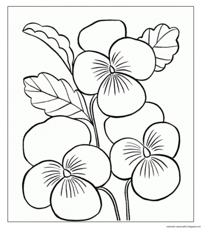 Рисунки для раскрашивания цветы для детей