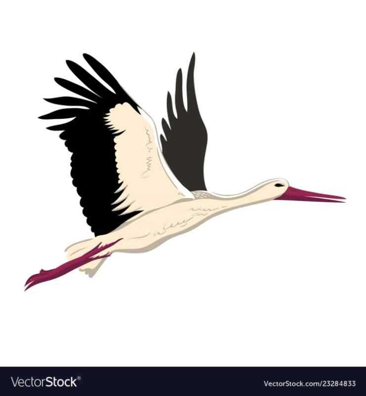 Аист с ребенком