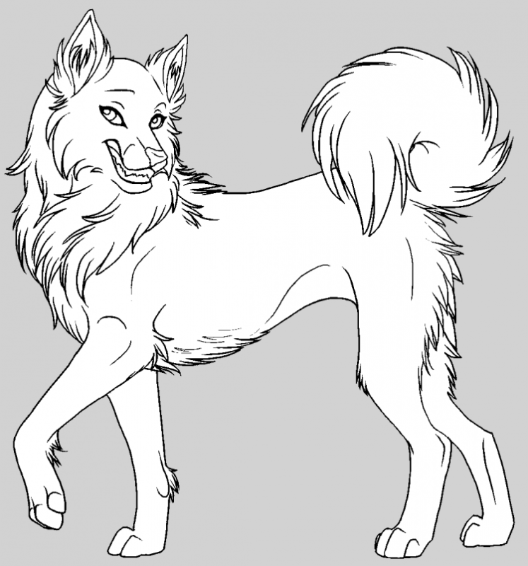 Лайны Волков и собак