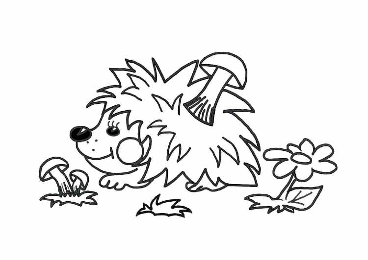 Ежик раскраска для малышей