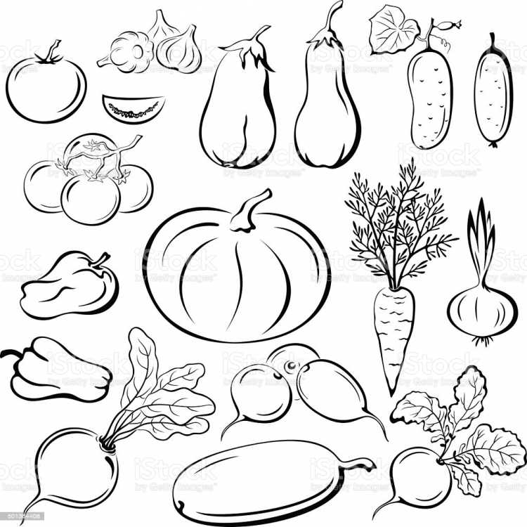 Натюрморт овощи и фрукты раскраска