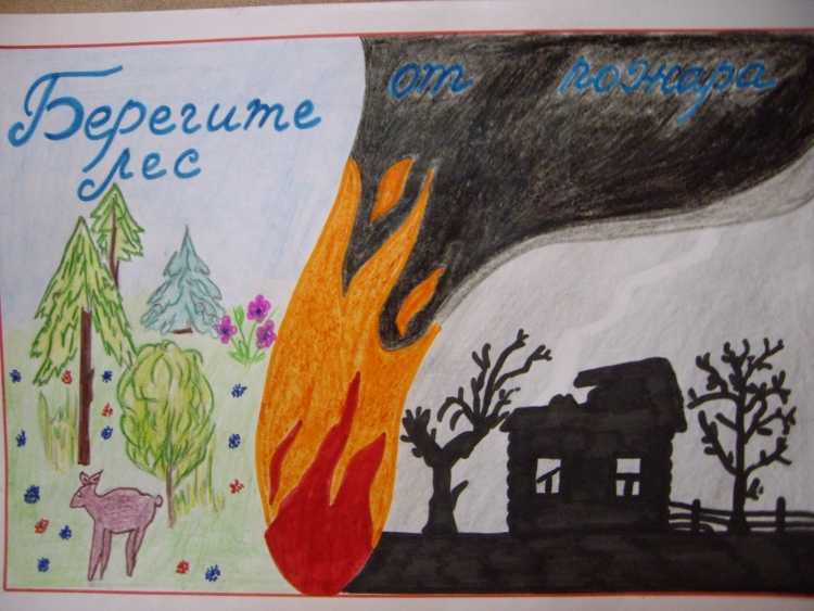 Рисунок по охране леса