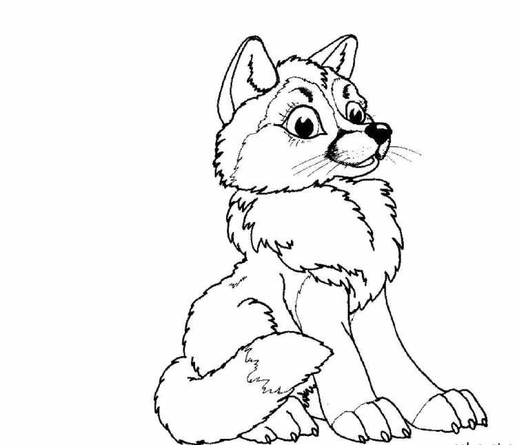 Раскраски для девочек волки