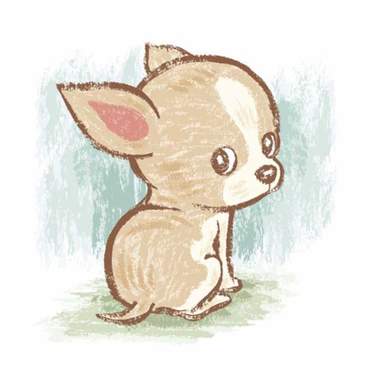 Рисунки для срисовки милые собачки