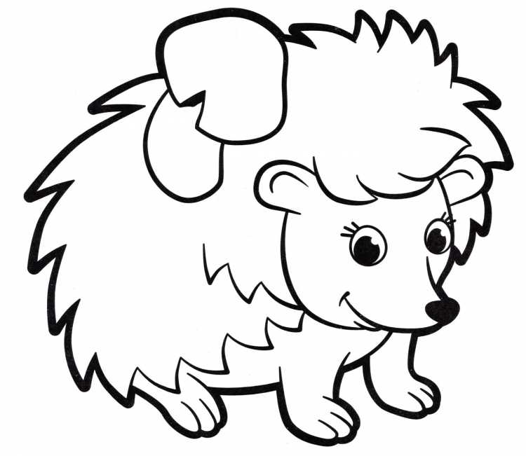 Ёжик раскраска для детей