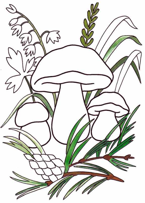 Гриб мухомор раскраска