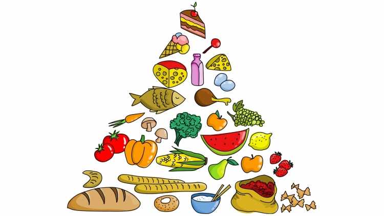 Плакат о здоровом питании шаблон