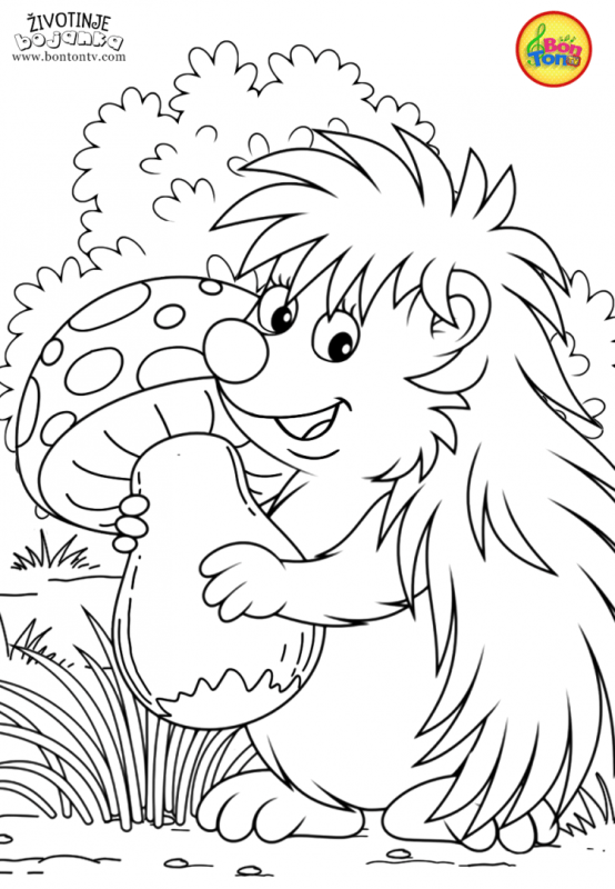 Ёжик раскраска для детей
