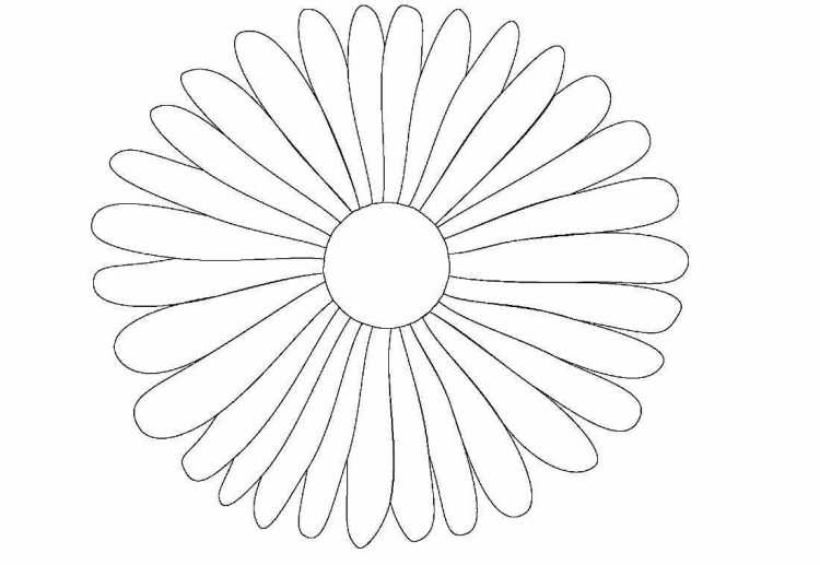 Объемные ромашки