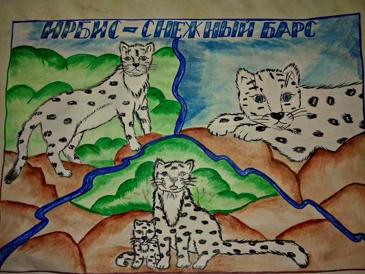 Плакат на тему животные красной книги