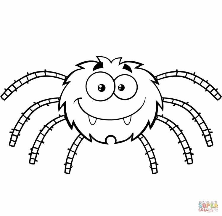 Паук крестовик раскраска