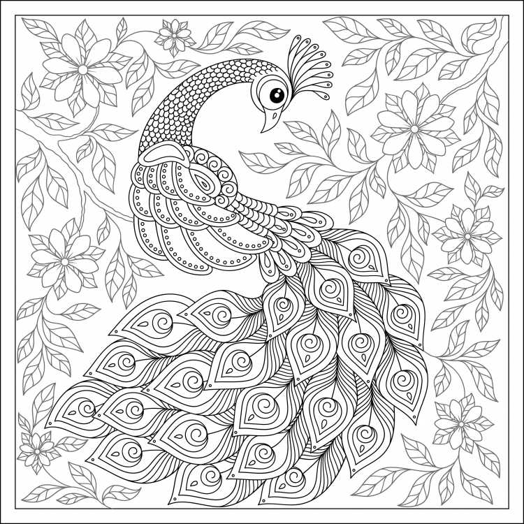 Павлин фломастерами