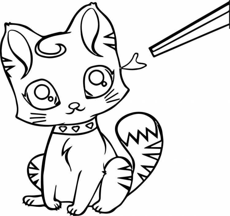 Раскраска кот