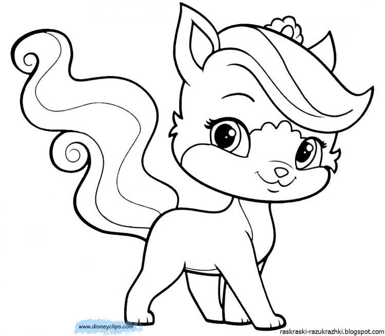 Раскраска котенок в шапке