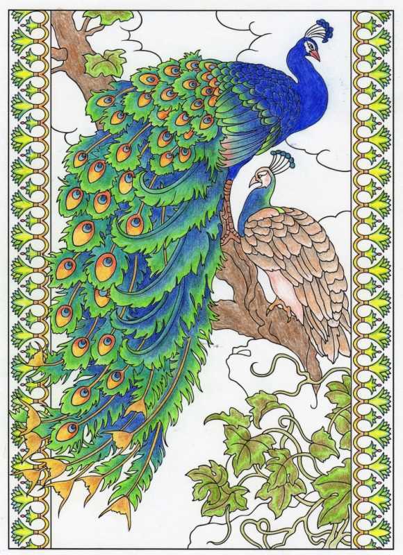 Антистресс Павлины