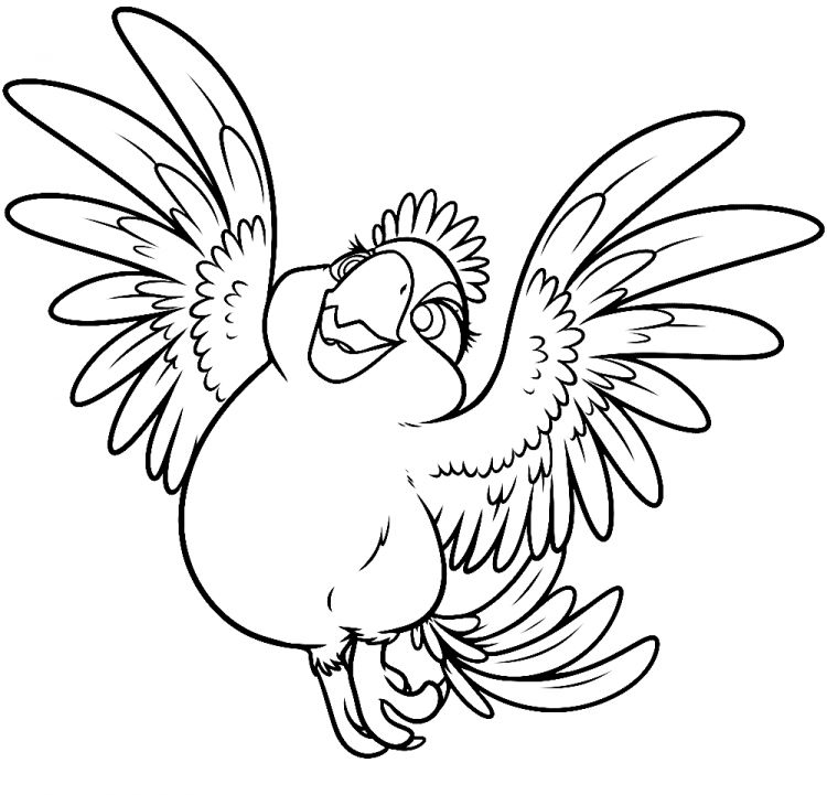 Попугай из Джейк и пираты Нетландии