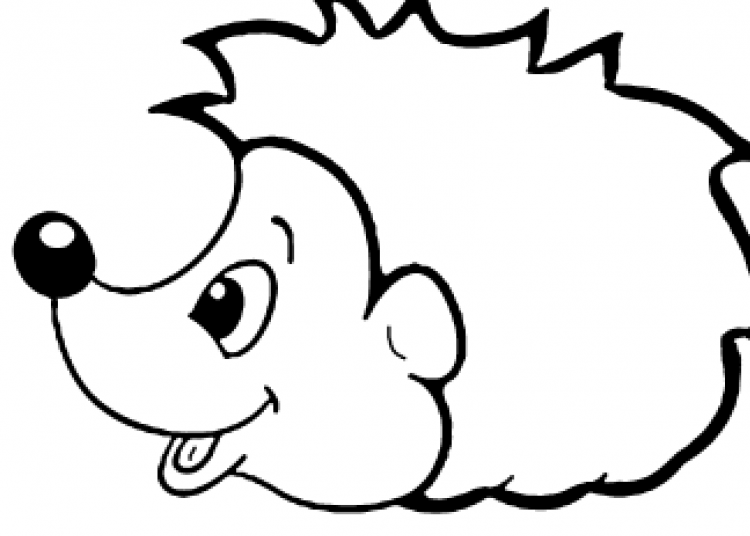 Спящий Ежик раскраска