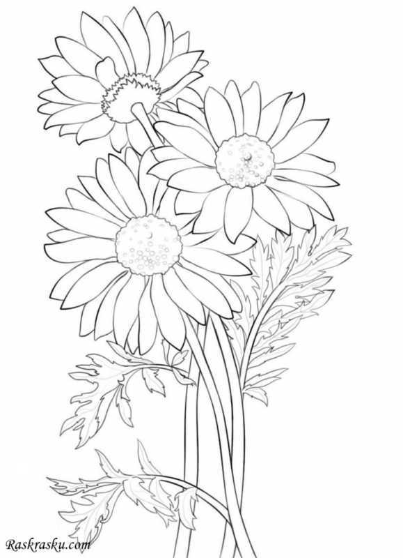 Цветочки для аппликации раскраска