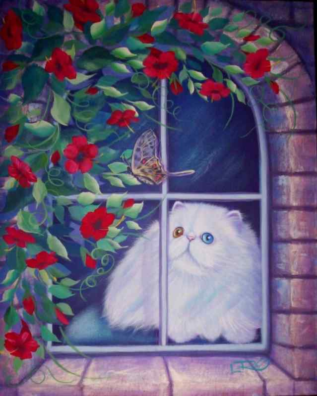 Белая кошка на окошке