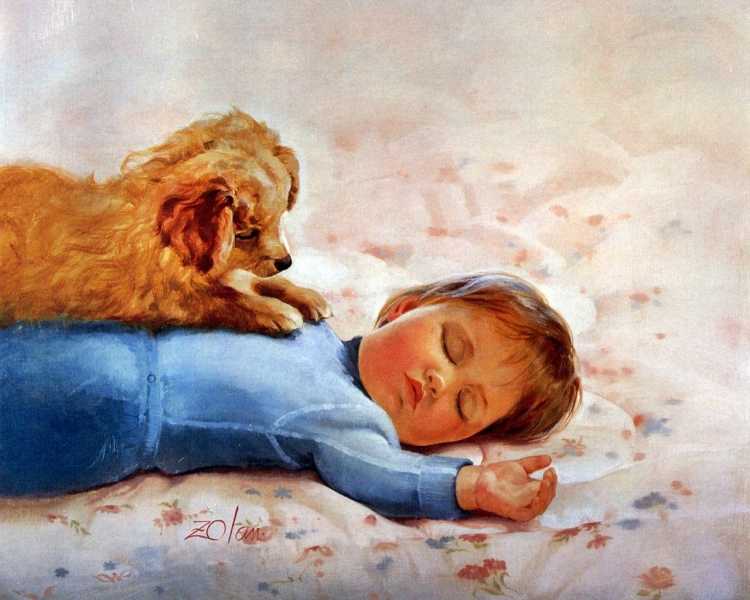 Художник Дональд Золан картины