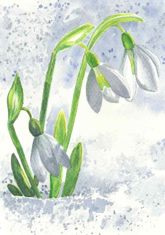 Рисование подснежники в вазе поэтапное