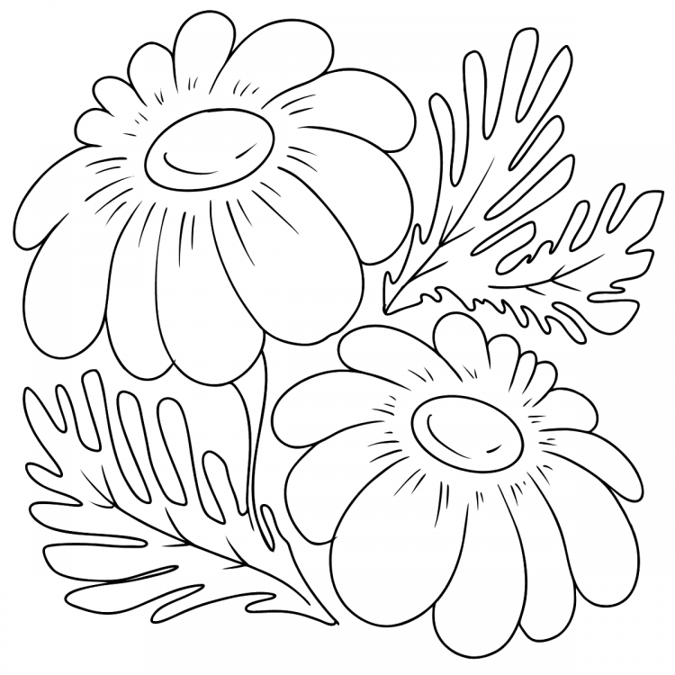 Сказочные цветы раскраски