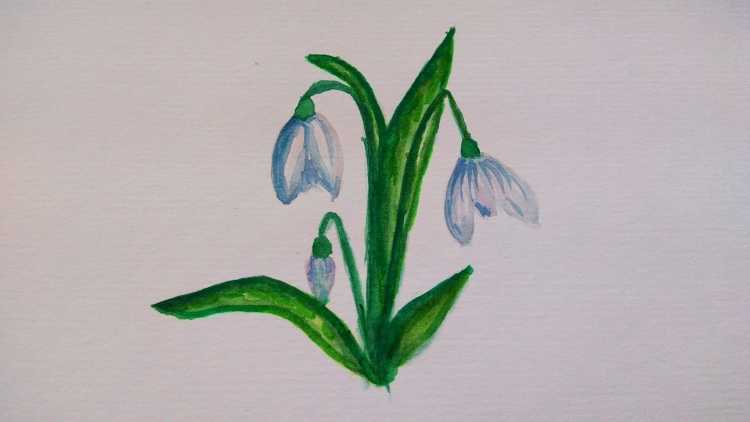 Рисование на тему первоцветы