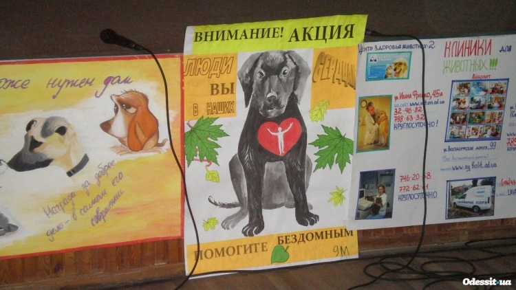 Картина кот арт