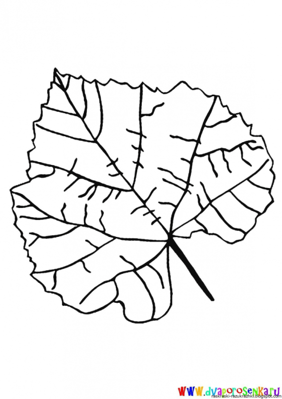 Листья раскраска