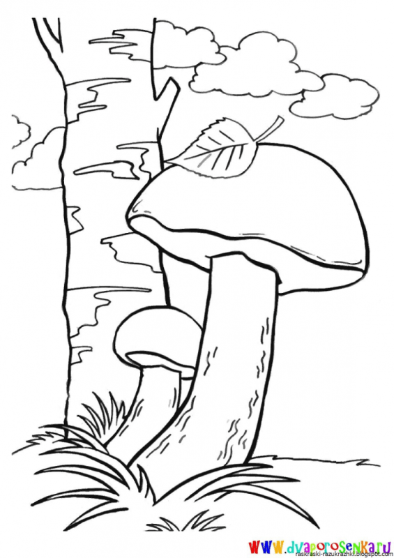 Гриб рисунок